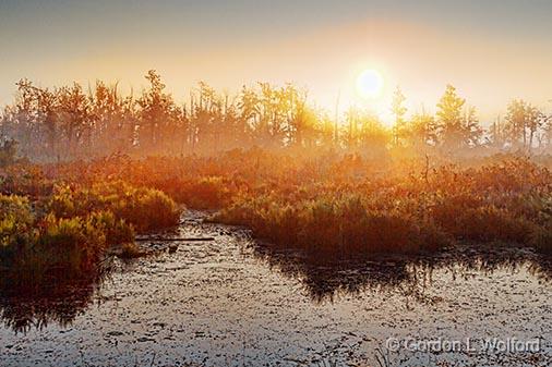Foggy Swale Sunrise_25824.jpg - Photographed near Smiths Falls, Ontario, Canada.